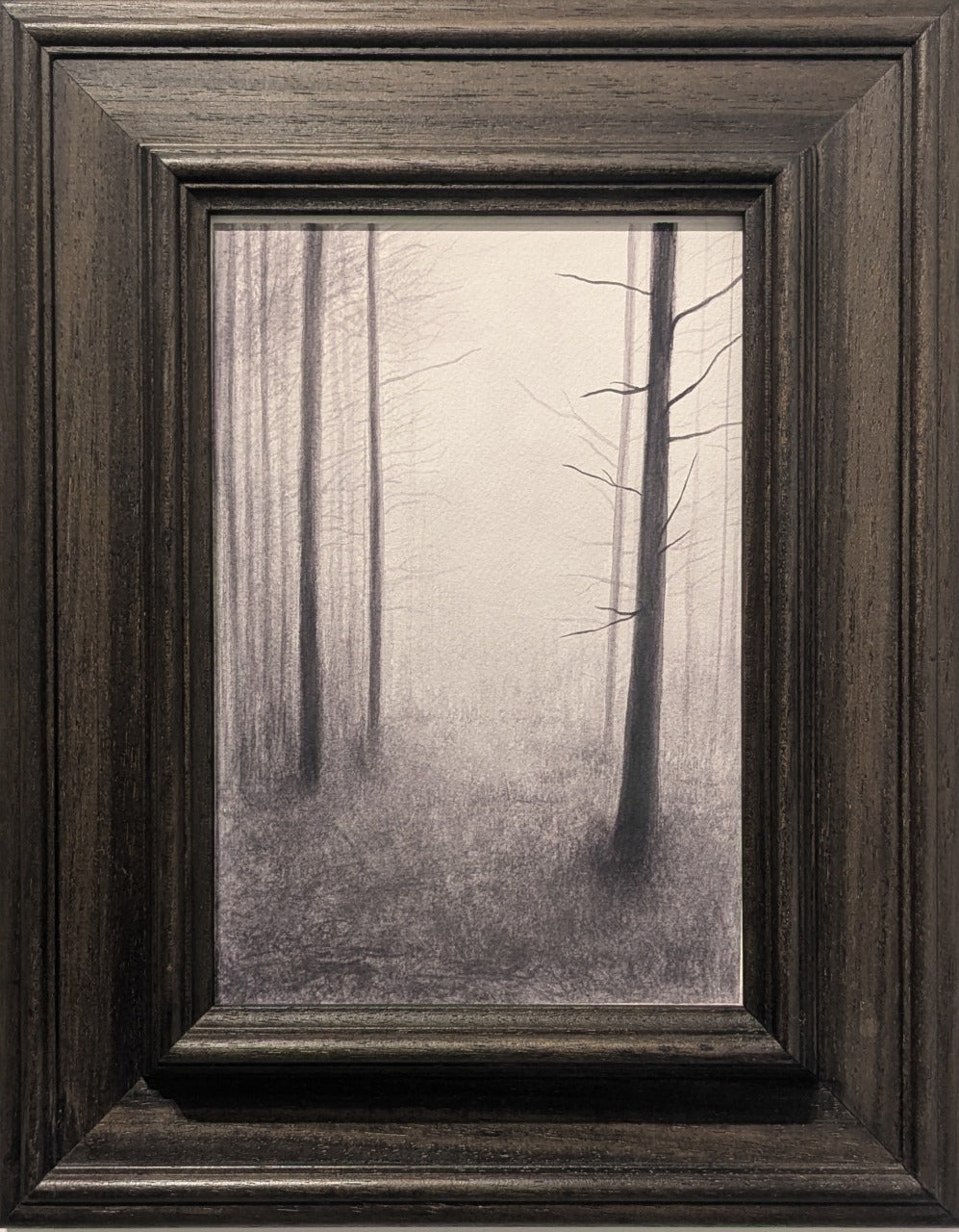 ANTICHE NEBBIE - Carlo Alberto Vandelli