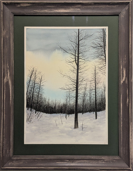 INTRECCIO SIMILARE - Carlo Alberto Vandelli