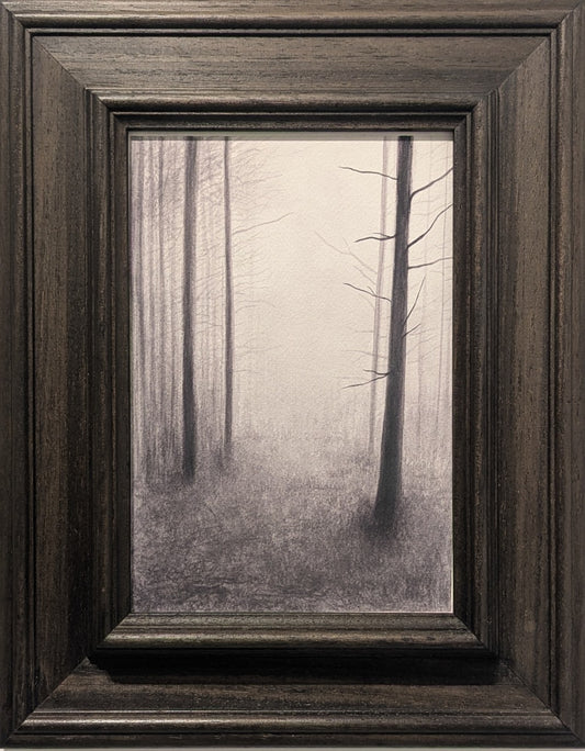 ANTICHE NEBBIE - Carlo Alberto Vandelli