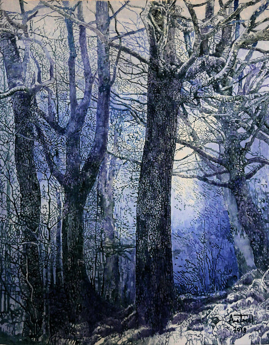 ALBERI CHE PARLANO - Anna Tonelli