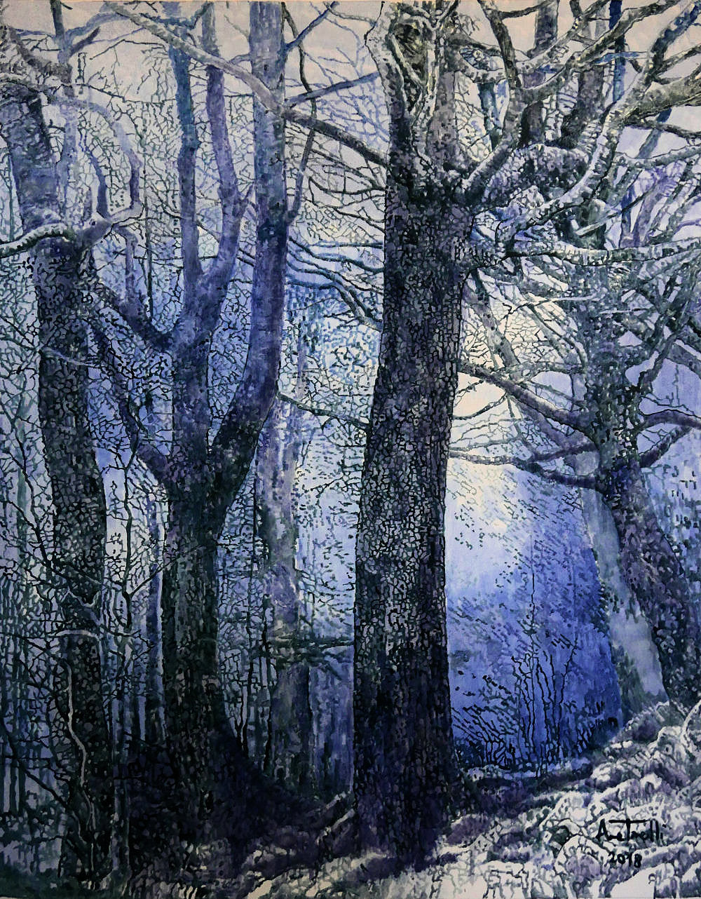 ALBERI CHE PARLANO - ANNA TONELLI