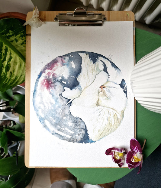 COMPLETEZZA - Asia Ricciardulli